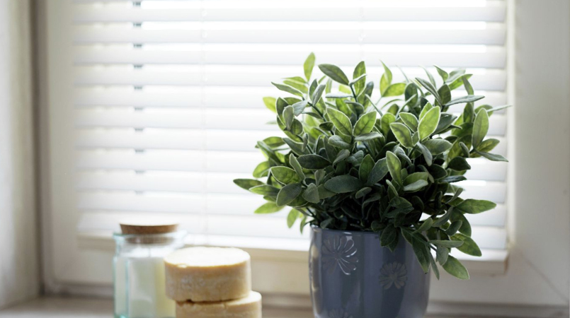Smartwood Venetian Blinds