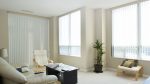 Vertical Blinds