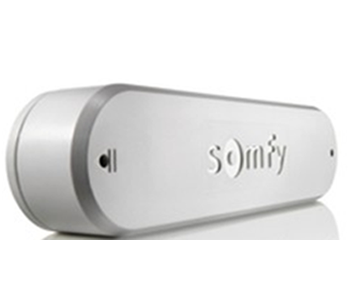Motion Sensor