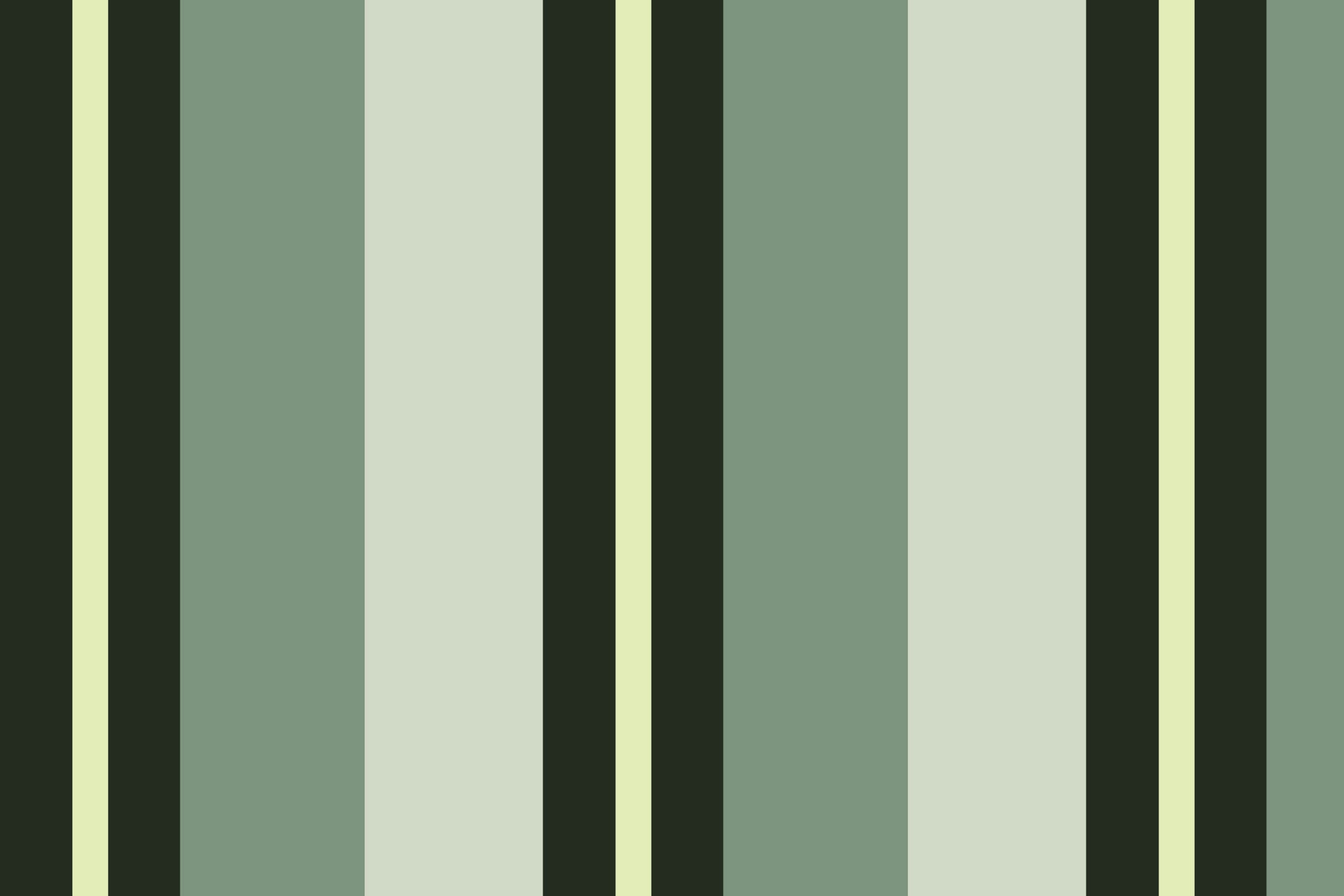 BV06